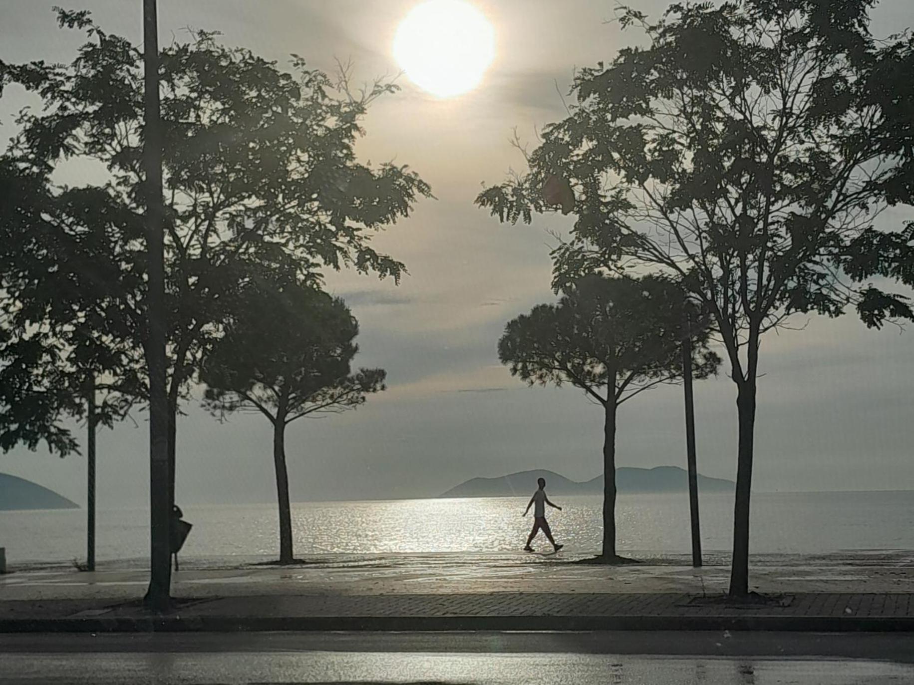 Dn Leilighet Vlorë